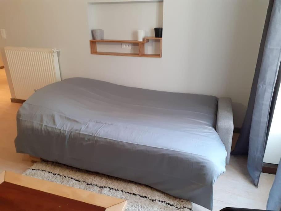 Appartement Hyper-Centre איסוואר מראה חיצוני תמונה